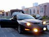 Remato Mi Pontiac Firebird Transam `95