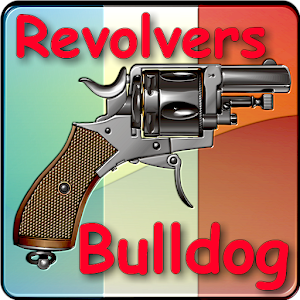 Revolvers de type 