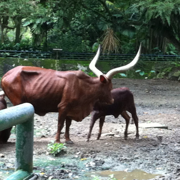 Spotting Image 1