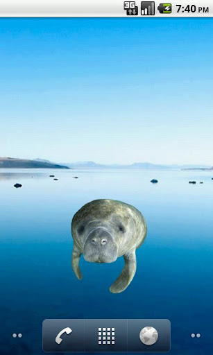 Manatee Head Sticker