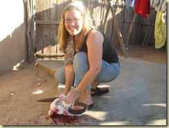 Killing a Chicken 017