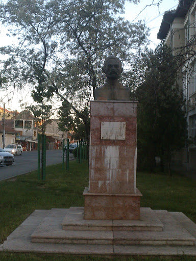 Bust Th. Costescu