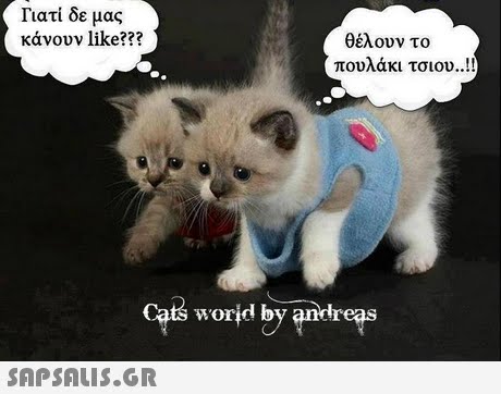 Γιατί δε μας κάνουν like??? θέλουν το πουλάκι τσιου ! worjd by andr 