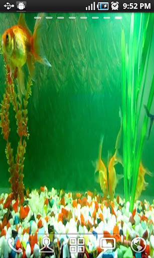 Aquarium Live Wallpaper