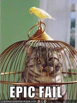 [funny-pictures-bird-cat-cage[10].jpg]