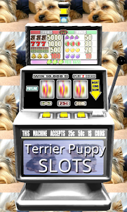 How to download 3D Terrier Puppy Slots - Free lastet apk for pc