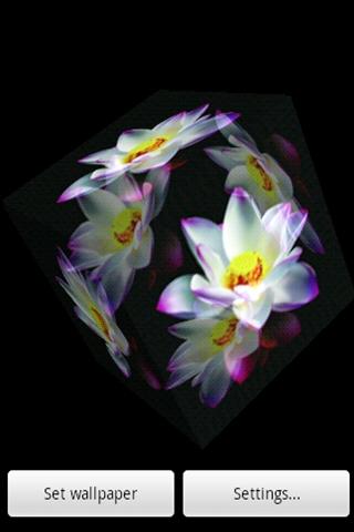 3D white Lotus