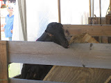 IMG_1552.JPG