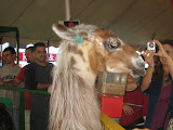 IMG_1608.JPG