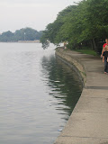 IMG_0393.JPG