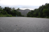 n93200068_30445482_6744.jpg