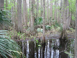 IMG_2909.jpg