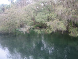 IMG_3296.jpg