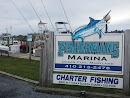 Fish Art on Fisherman's Marina