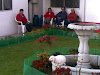 Hogar Geriatrico Los Cafetos En El Norte De Qui