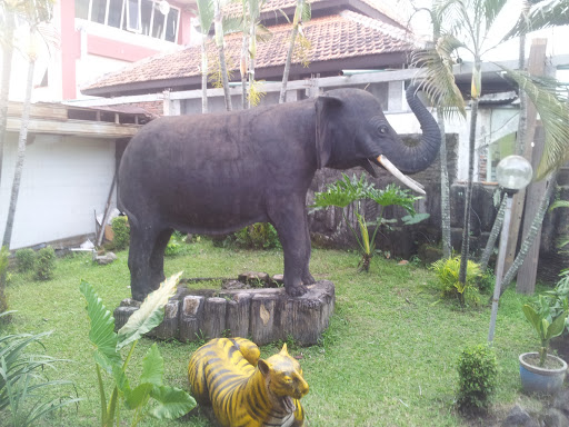 Gajah Sok Imoet