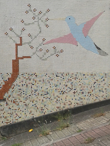 Mosaico Do Colibri