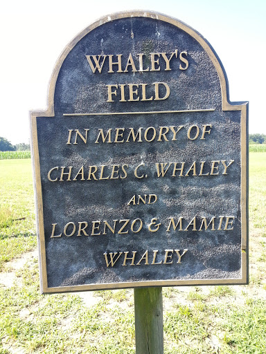 Whaley's Field