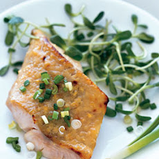 Miso-Glazed Black Cod on Sunflower Sprouts