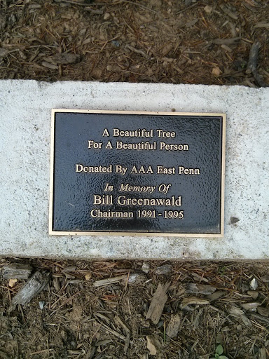 A Beautiful Tree for a Beautiful Person