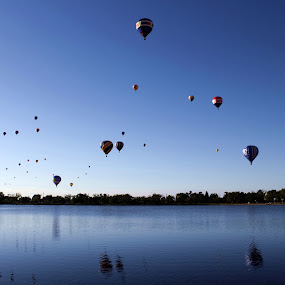 Balloons over a Lake by Bryan Rasmussen - Artistic Objects Other Objects ( reflection, blue, hot air balloons, balloon )
