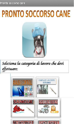 SOS - PRONTO SOCCORSO CANE