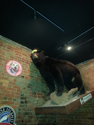 Gaylord Bear