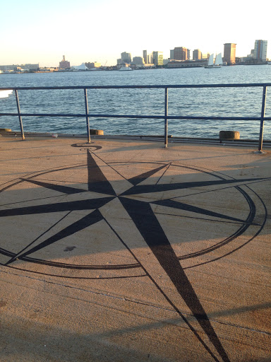 Dock Tattoo - Compass Rose