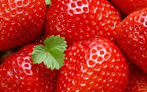 15-000-free-easy-chef-recipes for android screenshot