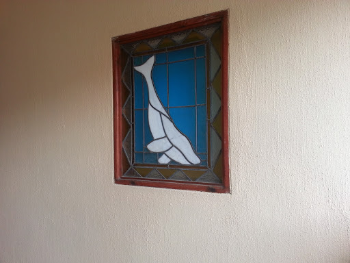 Whale Window