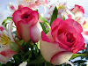 Floristeria Alma Viva