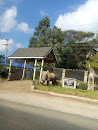 Park Place Rhino