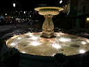 Hibiscus Fountain