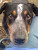 User profile picture thumbnail
