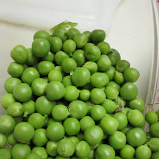 Spring Green Pea Risotto with Lemon
