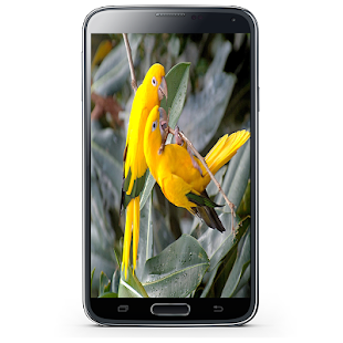 How to install صور طيور patch 2.0 apk for pc