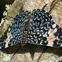 Red cracker