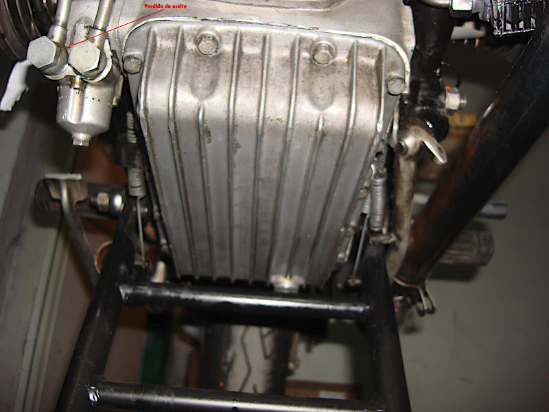 DSC00394.jpg