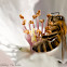 Unknown bee