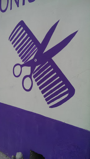 Scissors  and combs