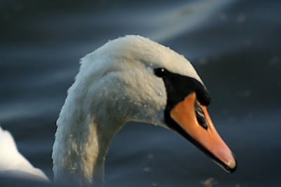 Help Image 2