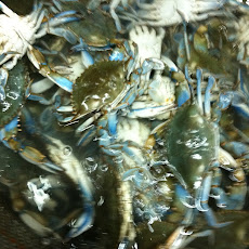 Julie's Deviled Seafood