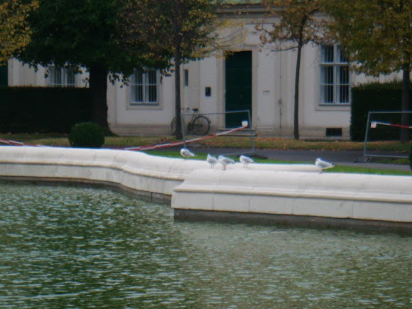 Spotting Image 1