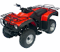 Cuatriciclos D250