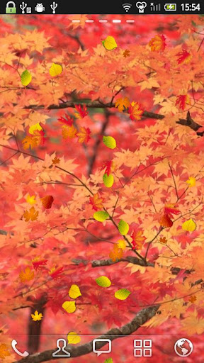 Maple leaf Live Wallpaper