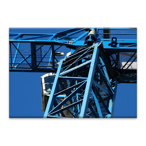 Crane Jigsaw Puzzles.apk 1.6.crane