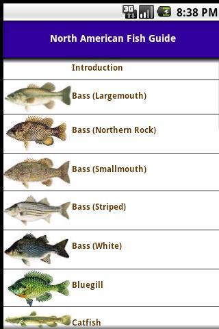 North American Fish Guide