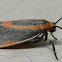 Subject Lichen Moth