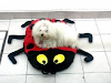 Colchonetas Para Mascotas