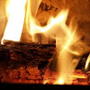 Toasty Fire